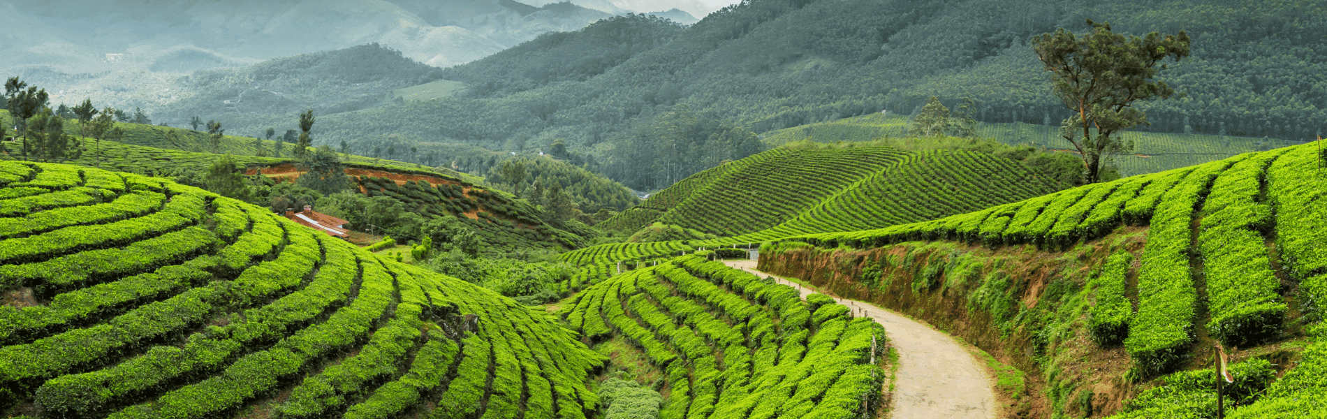 Darjeeling 2 Nights 3 Days Tour Package with Tiger Hill Sunrise & Sightseeing
