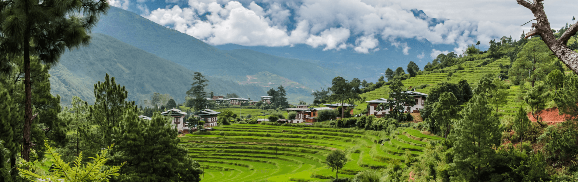 Bhutan 5 Days 4 Nights Tour Package – Thimphu, Paro & Phuentsholing