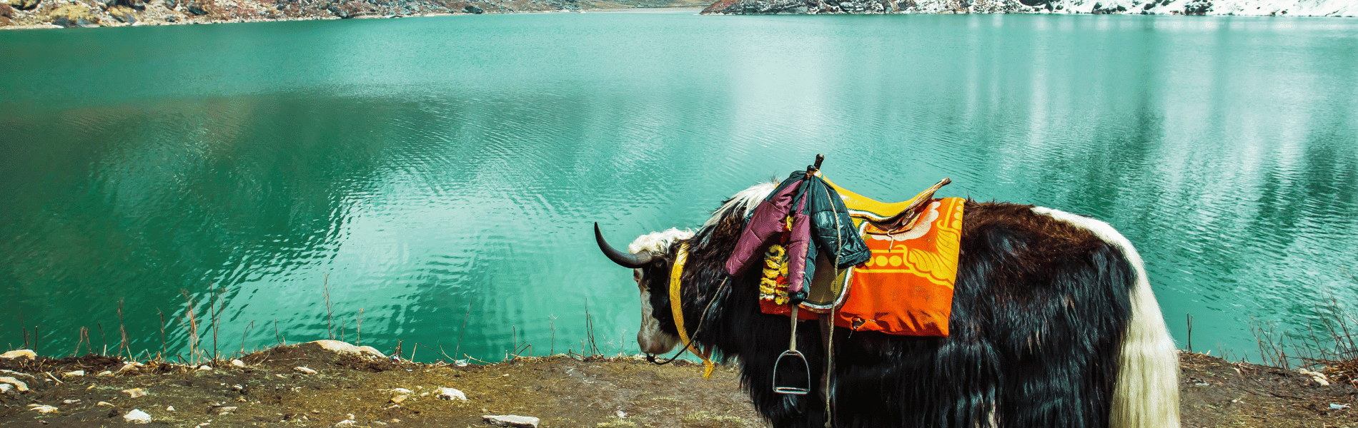 Bhutan with Gangtok Tour Package - 7N/8D Himalayan Escape