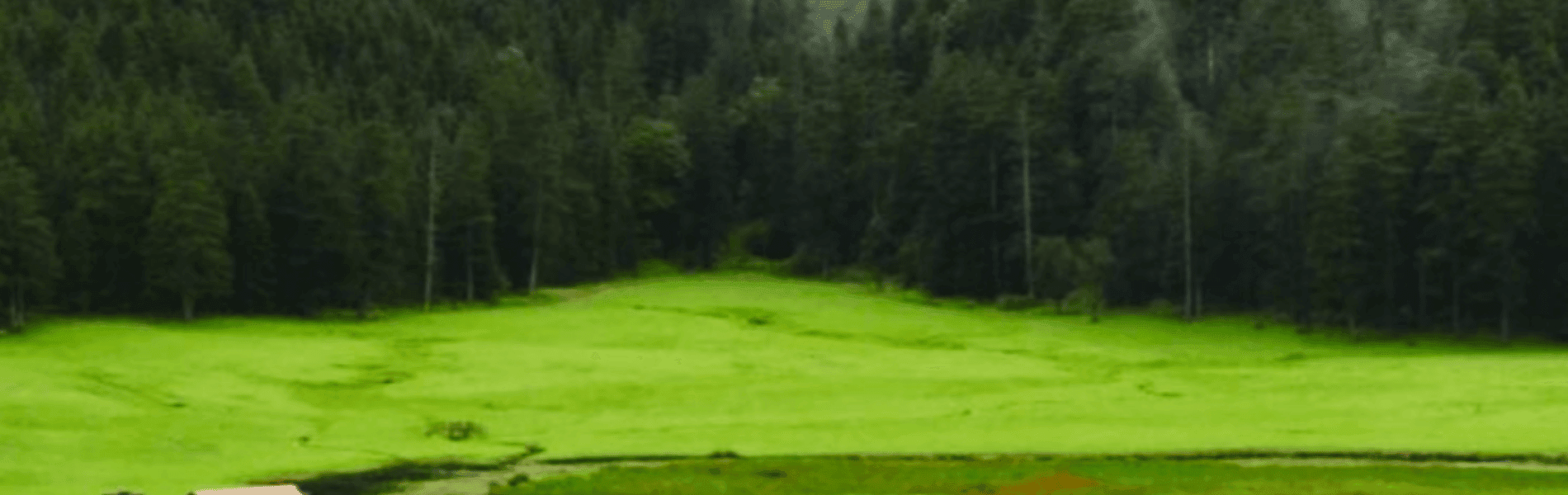 Dharamshala Dalhousie Tour Package 5 Days 4 Nights from Chandigarh with Hotel & Cab
