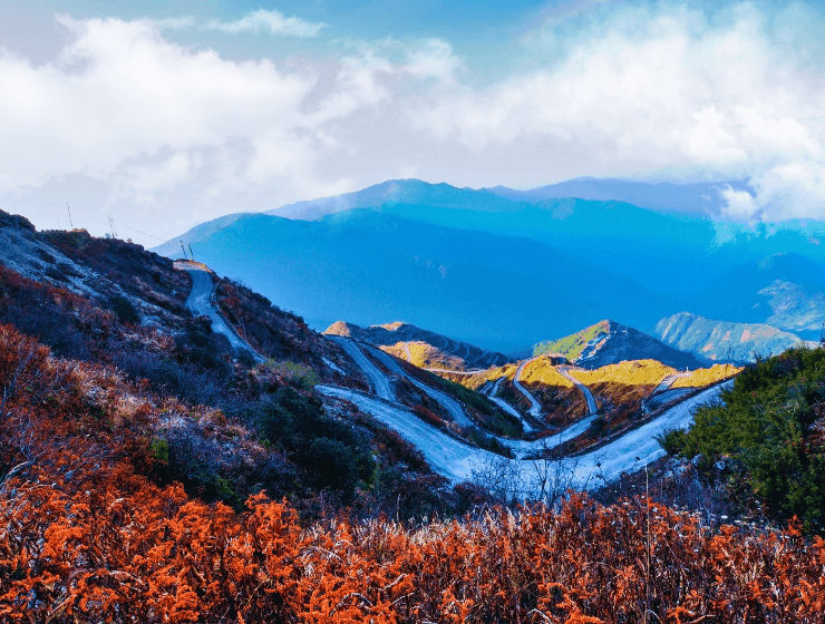 Zuluk Tour Package | Silk Route Zuluk Sikkim Package