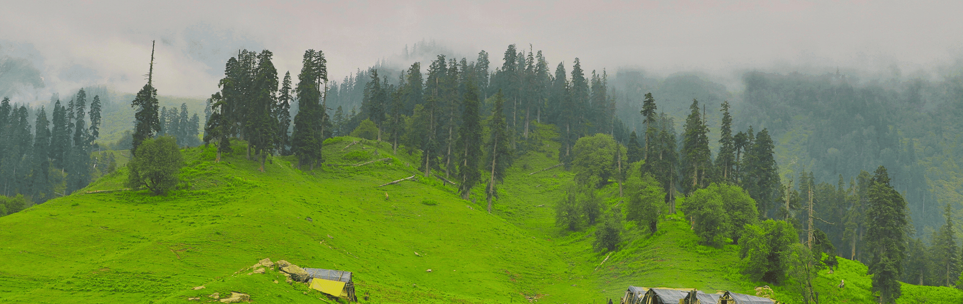 Shimla Manali Tour Package from Chandigarh 5 Days 4 Nights with Solang Valley & Kullu Sightseeing
