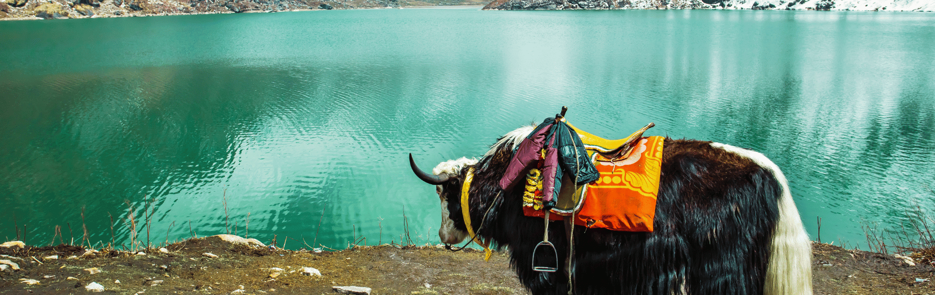 Bhutan with Gangtok Tour Package - 7N/8D Himalayan Escape