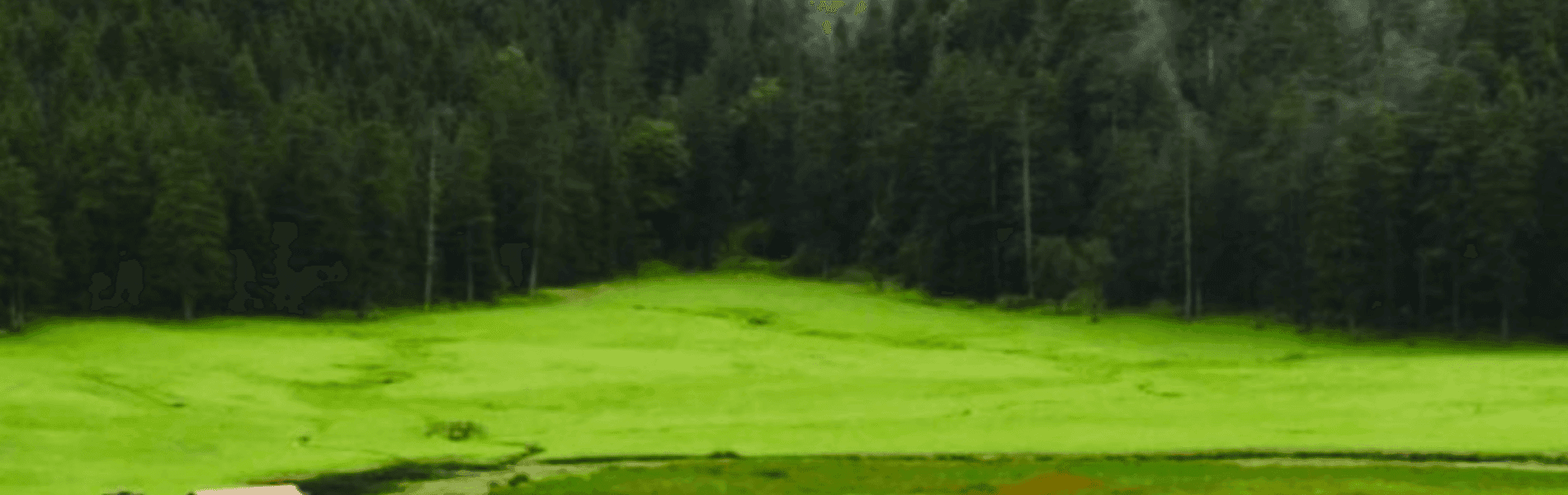 Dharamshala Dalhousie Tour Package 5 Days 4 Nights from Chandigarh with Hotel & Cab