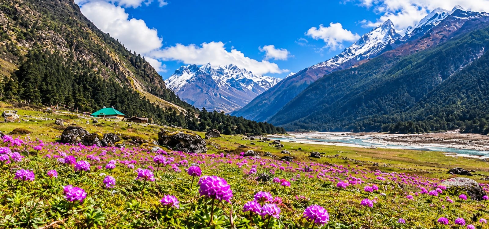10 Days Bhutan Sikkim Darjeeling Tour Package | Thimphu, Paro, Gangtok & Darjeeling