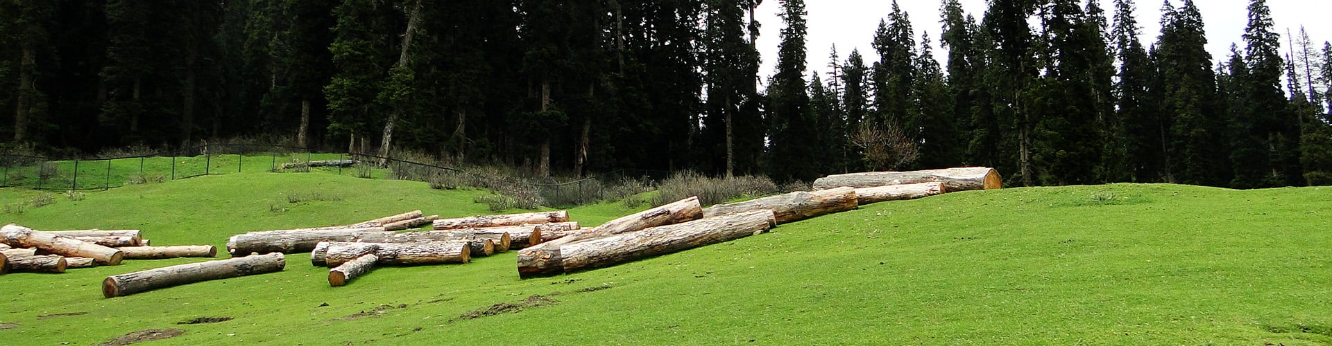 4 Nights 5 Days Kashmir Honeymoon Package - Srinagar | Sonamarg | Gulmarg | Pahalgam