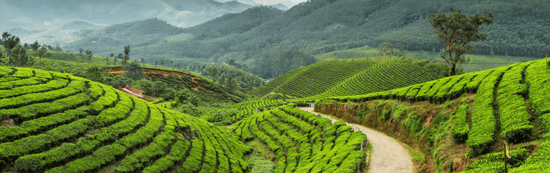 Darjeeling 2 Nights 3 Days Tour Package with Tiger Hill Sunrise & Sightseeing